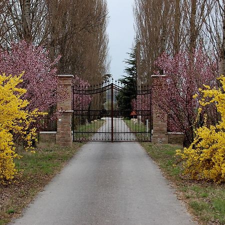 Agriturismo Corte Rocca San Giorgio di Mantova Kültér fotó