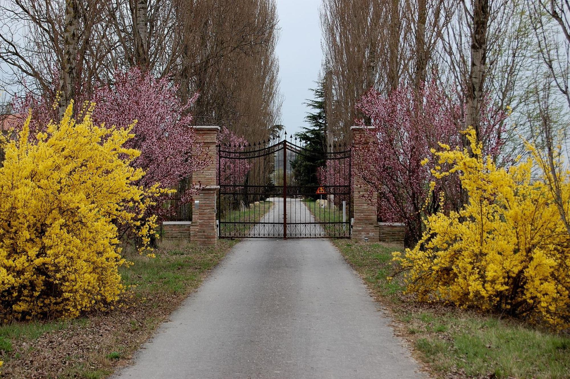 Agriturismo Corte Rocca San Giorgio di Mantova Kültér fotó