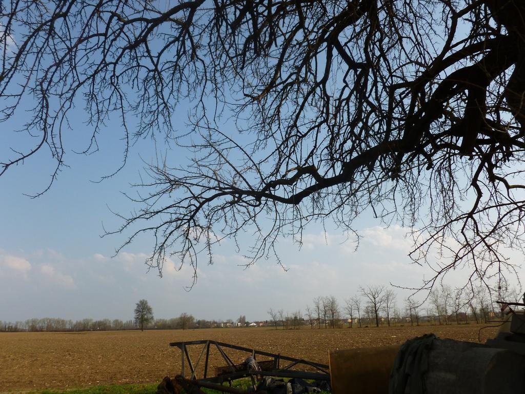 Agriturismo Corte Rocca San Giorgio di Mantova Kültér fotó